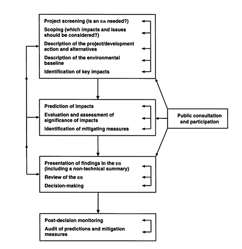 Environmental impact assessment